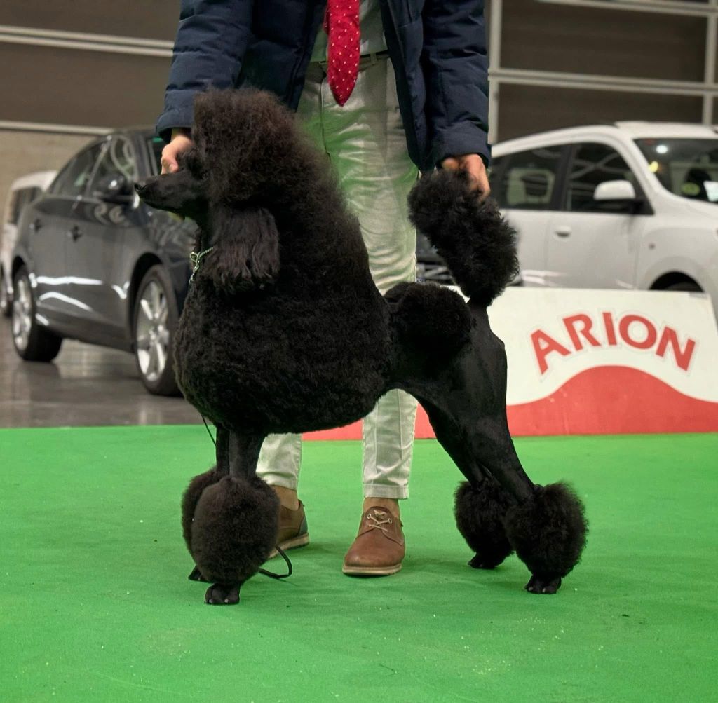 Publication : Movingstars Auteur : MOJABA