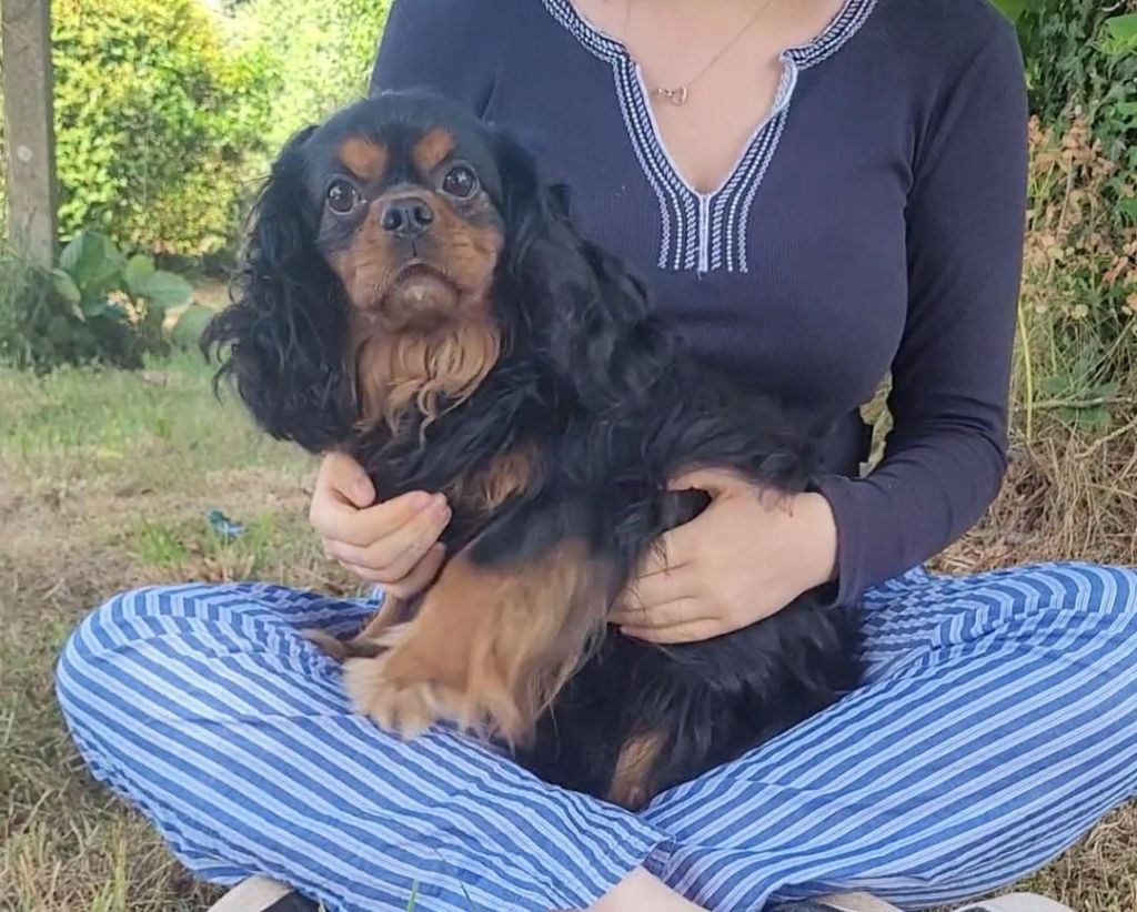 Publication : des rives du blavet Auteur : christelle bonduau