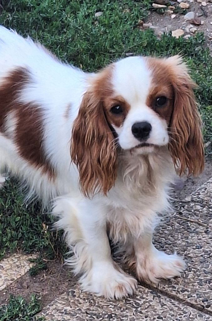 Publication : Du puits des sortileges 