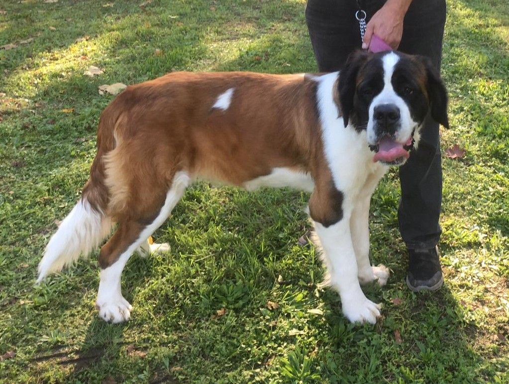 Publication : Du Domaine D'Arka 