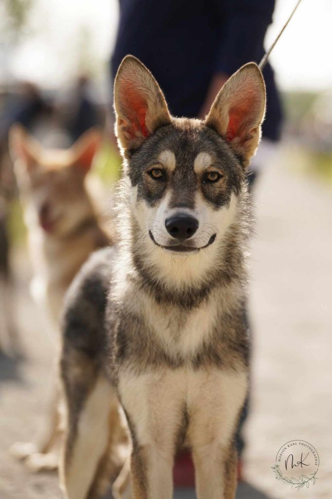 Publication : Du Royaume De Tag 