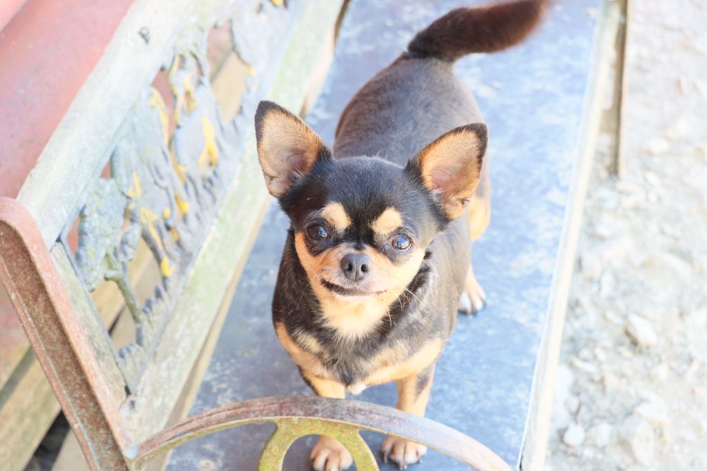 Publication : de la grande equinoxe 