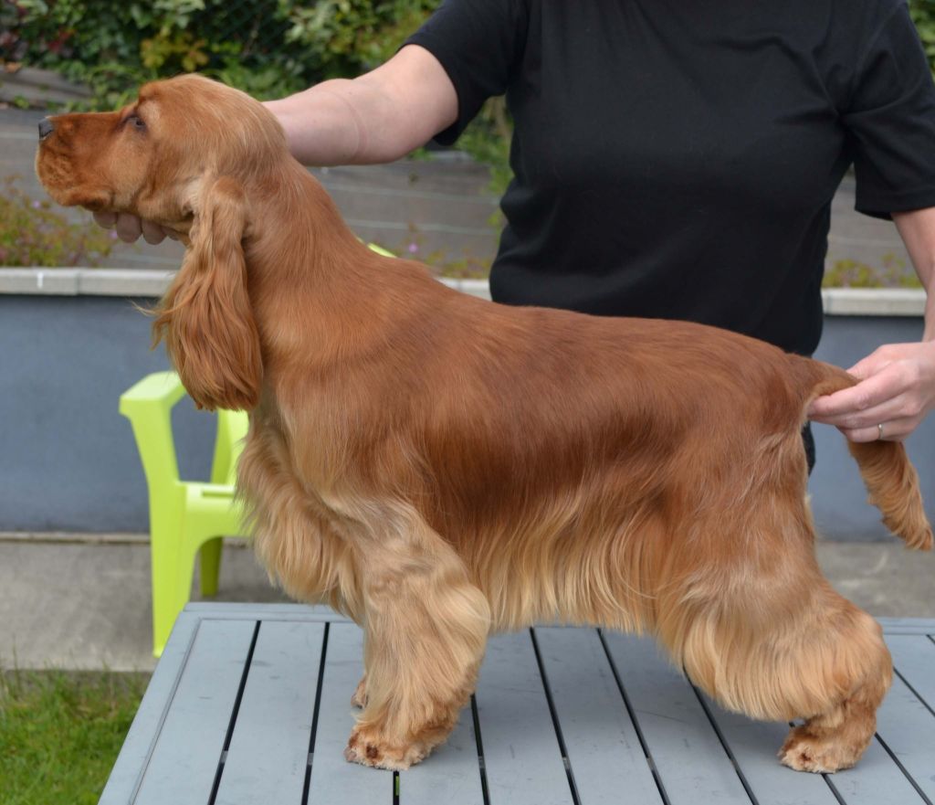 Publication : Of merrily