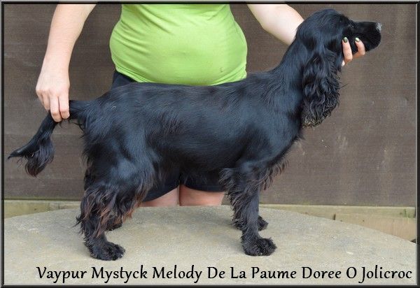 Publication : Of Enjoy's Paradise Auteur : Of Enjoy's Paradise Kennel.