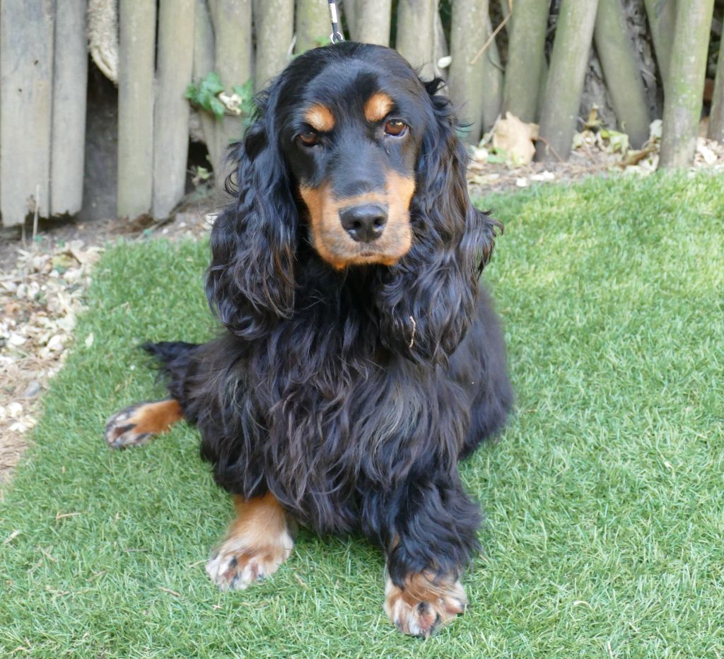 Publication : Du Temps Des Amazones Auteur : EMILIE DELFOSSE