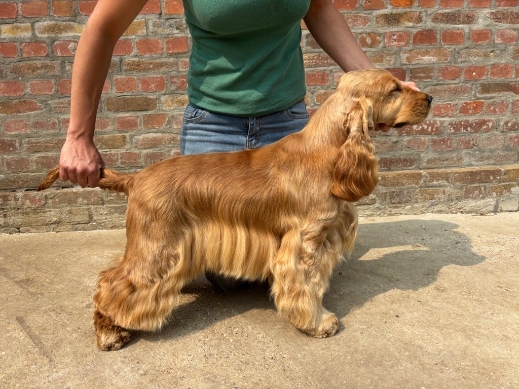 Publication : Sunset D'hell 