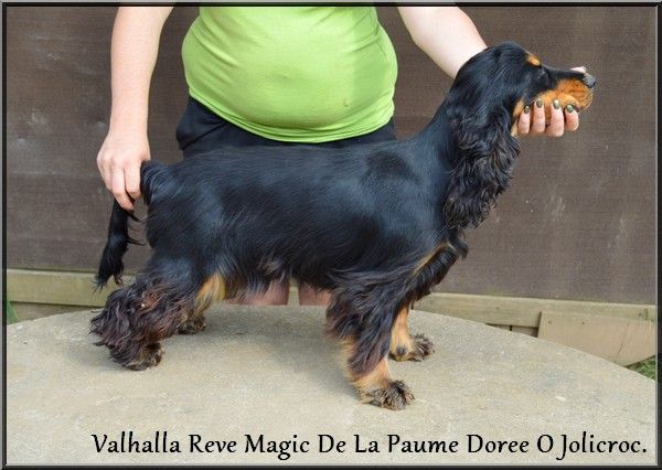 Publication : Of Enjoy's Paradise Auteur : Of Enjoy's Paradise Kennel. 