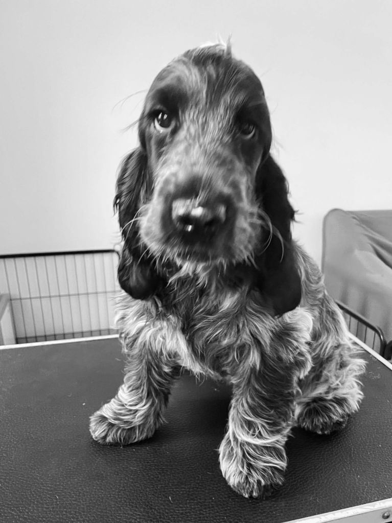 Publication : Givemehope Auteur : V.Michel