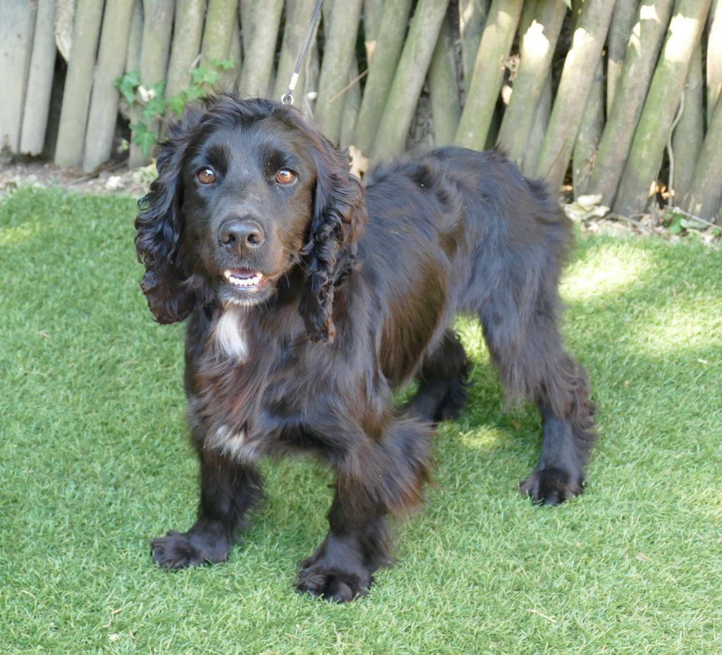 Publication : Du Temps Des Amazones Auteur : EMILIE DELFOSSE