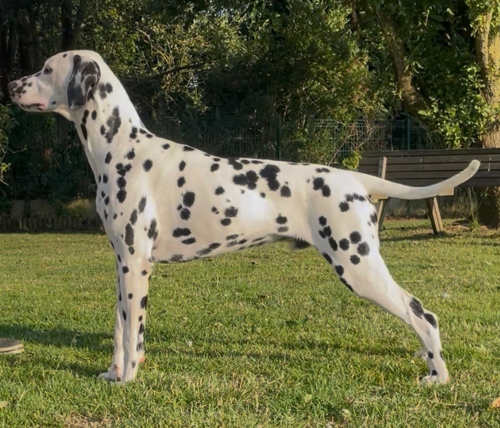 Publication : Zewonderiz