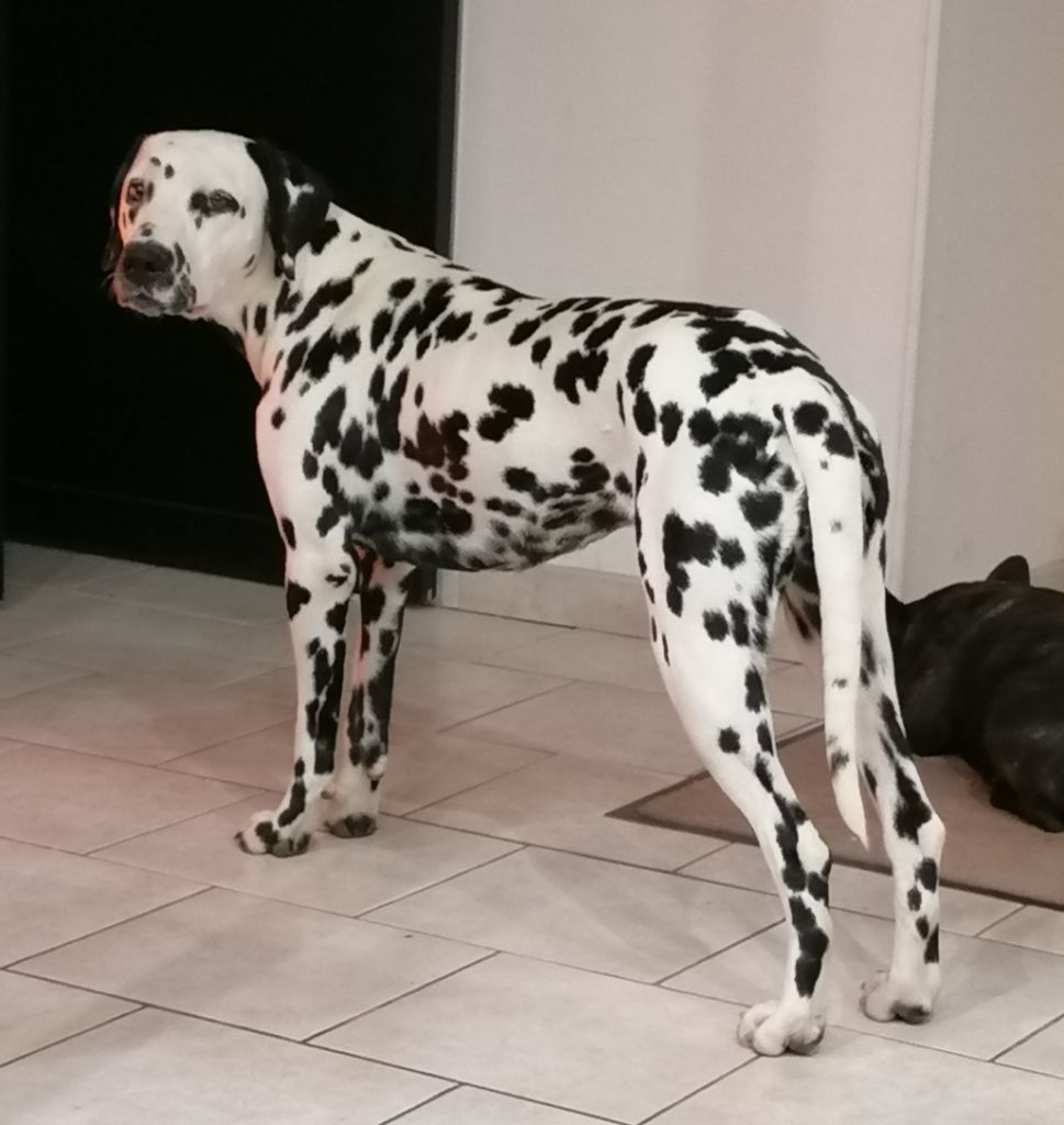 Publication : Du Cercle De Lallybrock