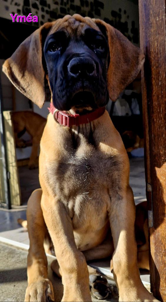 Publication : Du Clos D'Héra