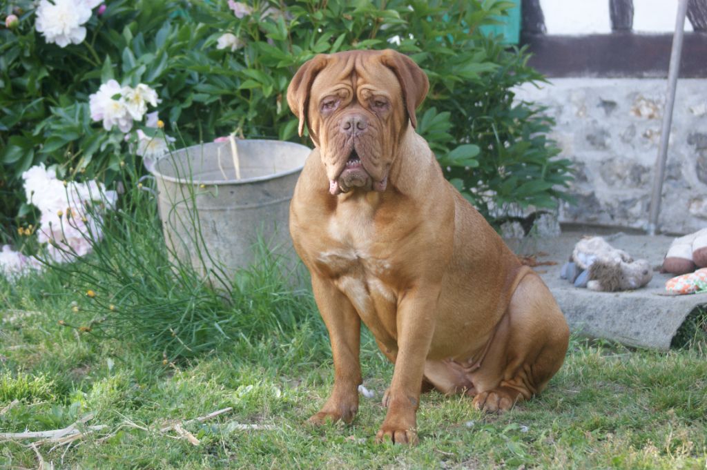 Publication : Des Prairies De Voxulacos