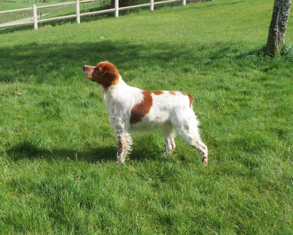 Publication : De la plaine marat 