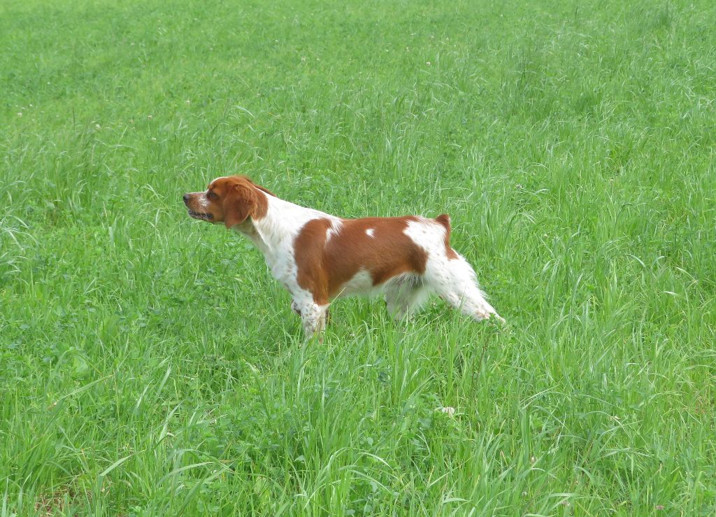 Publication : De la plaine marat 