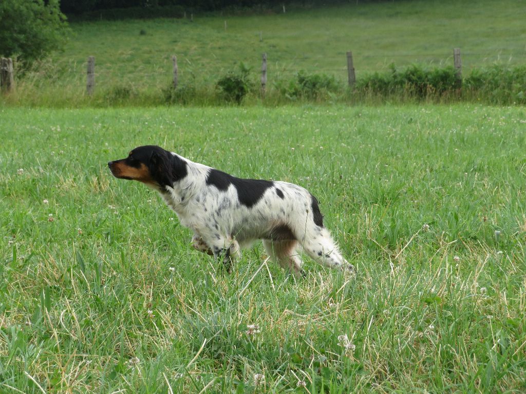 Publication : De la plaine marat 