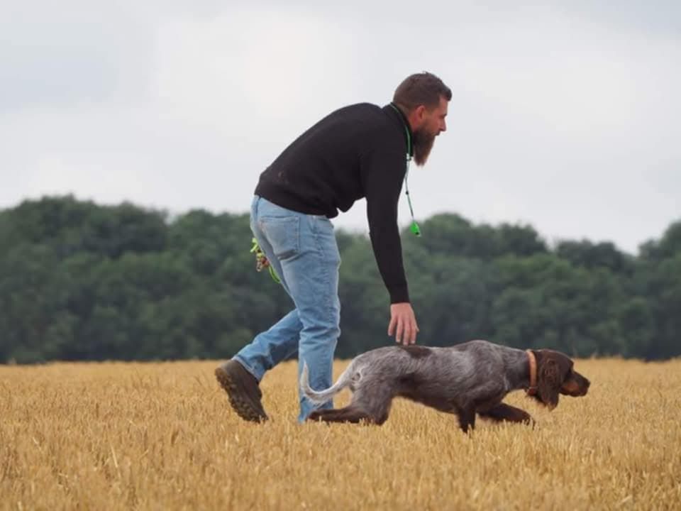 Pépite De La Forge Des Evoissons