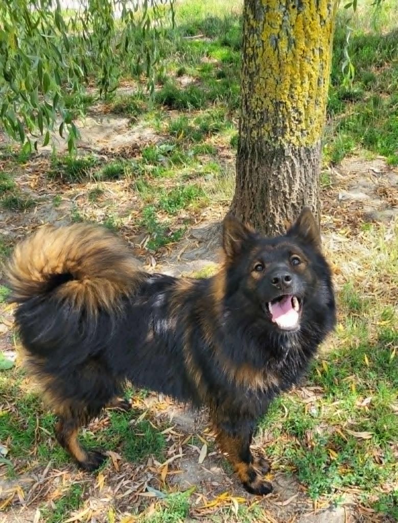 Publication : Du Domaine De Grande Esperance 