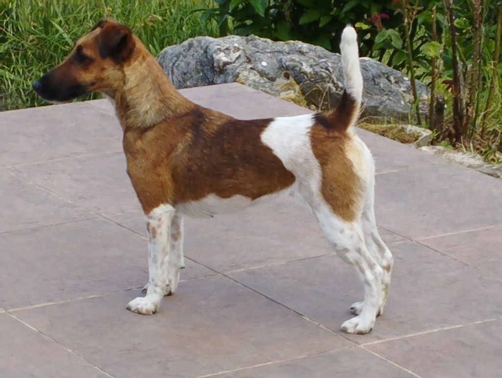 Publication : Des marais d'aulnoye Auteur : ruchon