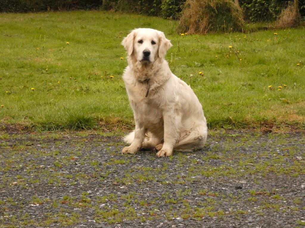 Publication : (Sans Affixe) 