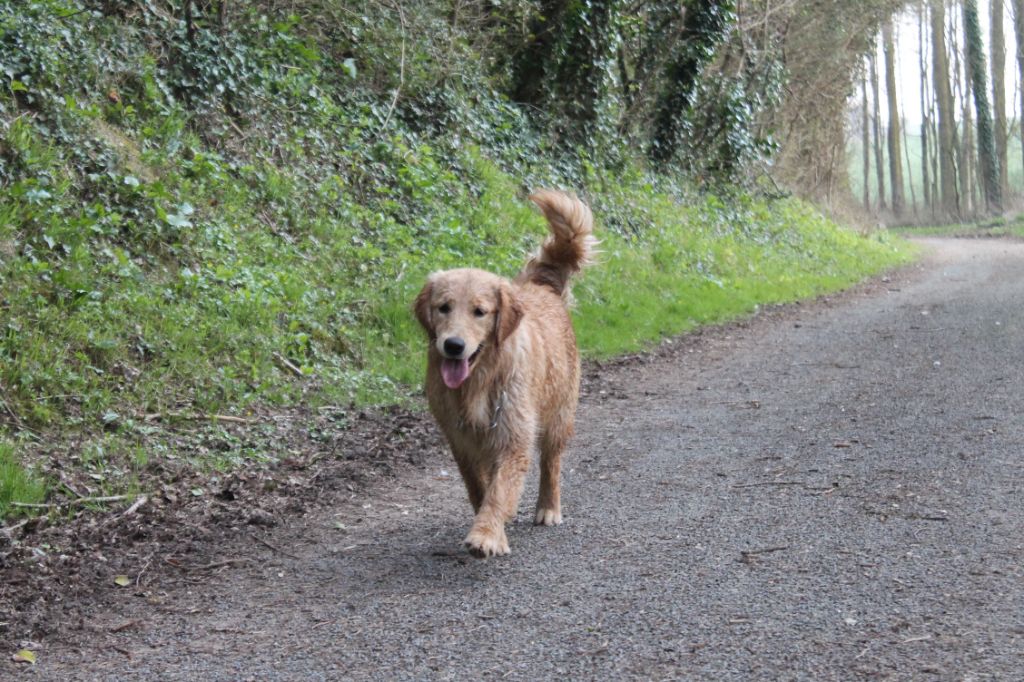 Publication : De La Ferme Des Trois Geais 