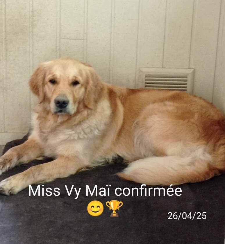 Publication : Des Lisières D'Arraga 