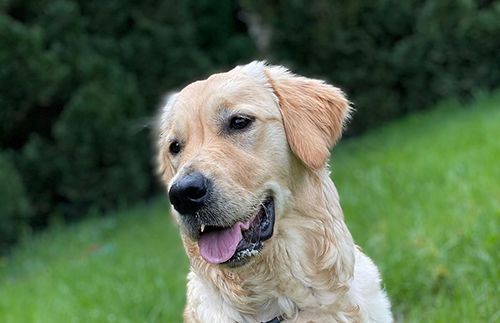 Publication : Feelgood Lazaryzou 