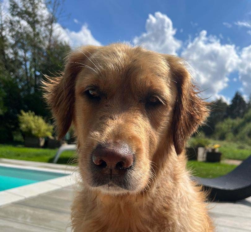 Publication : Feelgood Lazaryzou 