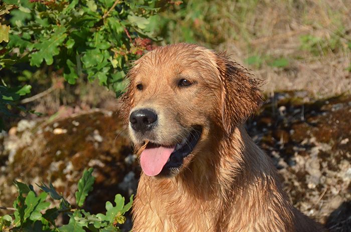 Publication : Feelgood Lazaryzou 