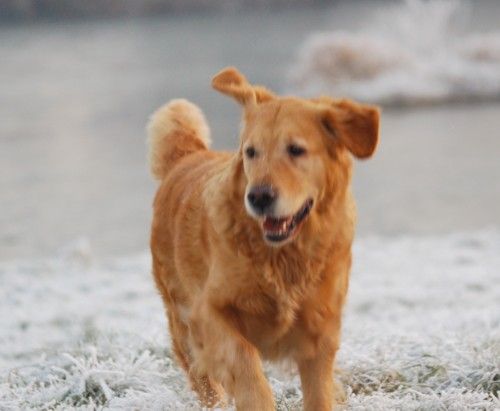 Publication : Feelgood Lazaryzou 