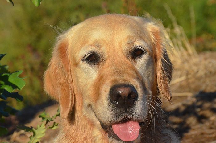 Publication : Feelgood Lazaryzou 