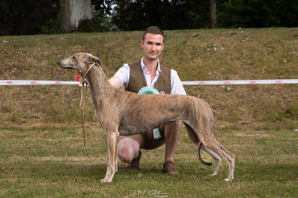 Publication : Rosae Fidelis Auteur : J'M GABRION