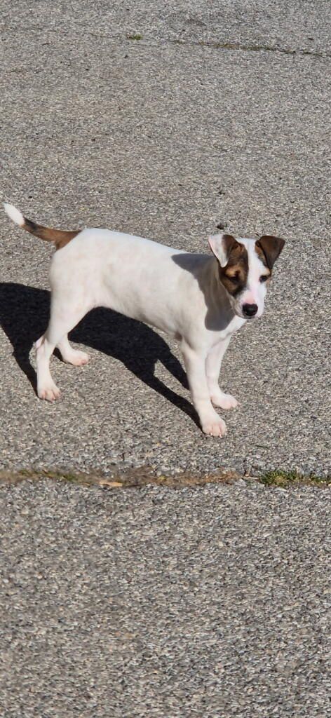 Publication : de la Vallée du Bois Bray