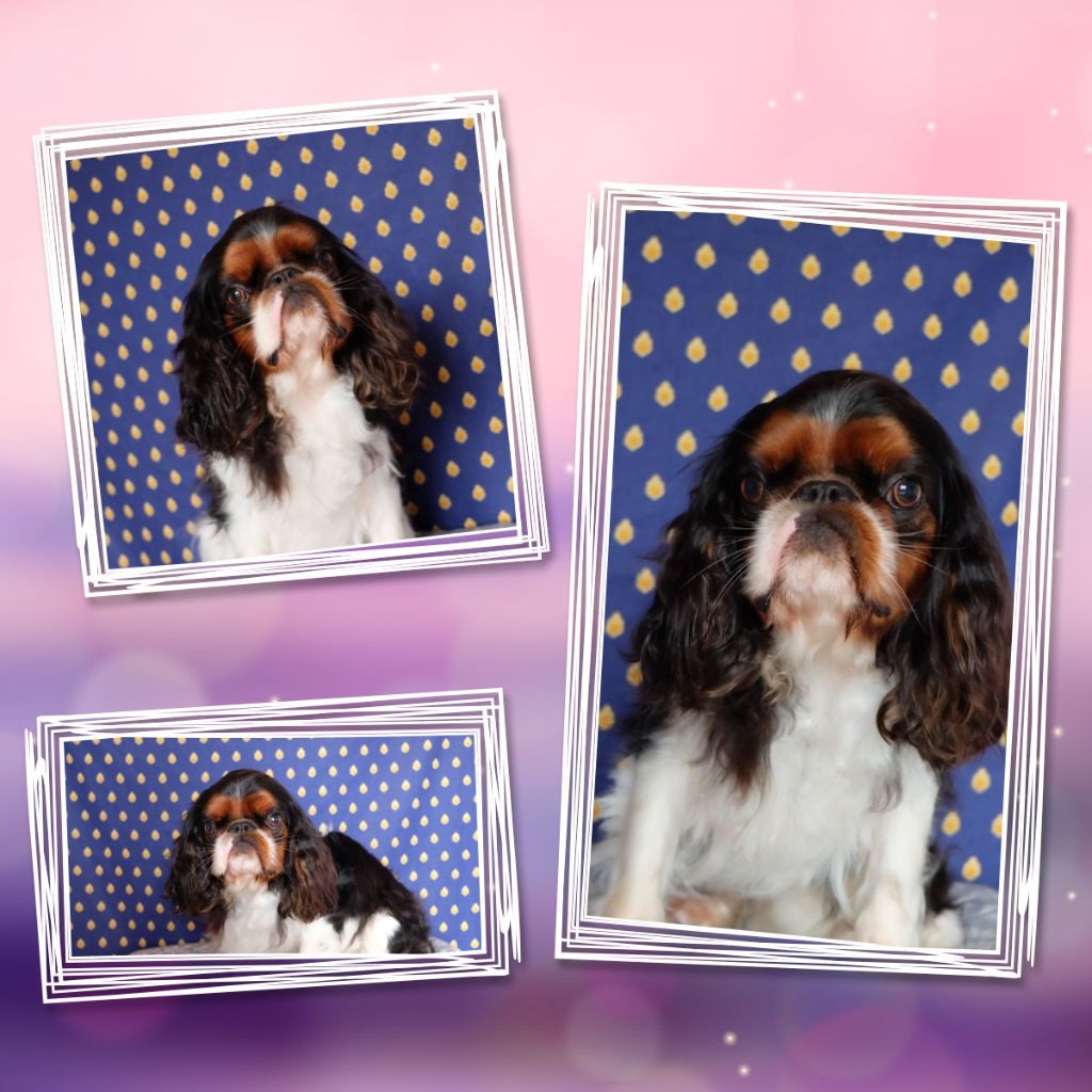 Publication : Des Rochers D'agerna Auteur : DURAND sophie