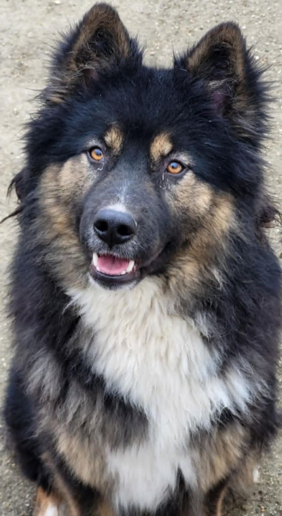 Publication : Du Domaine De Grande Esperance 