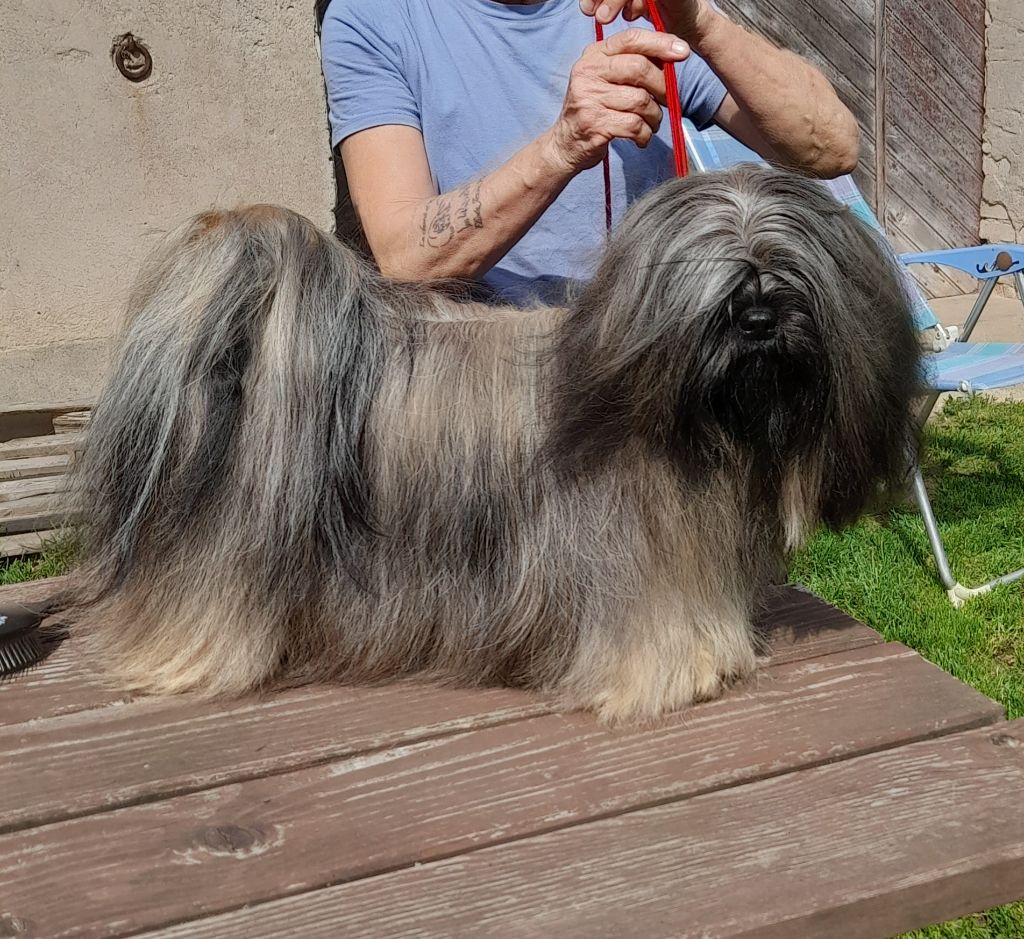 Publication : du chant d'Eliote 