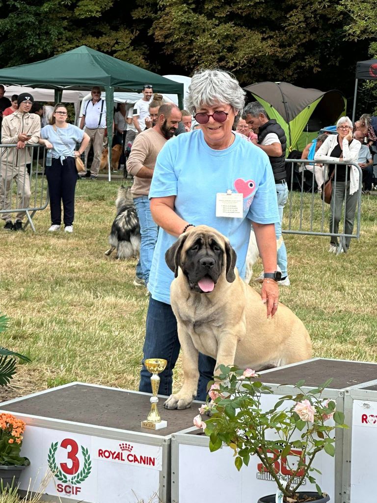 Publication : De L'Arche De Jovie Auteur : HOUDAN ALLIZ BABY