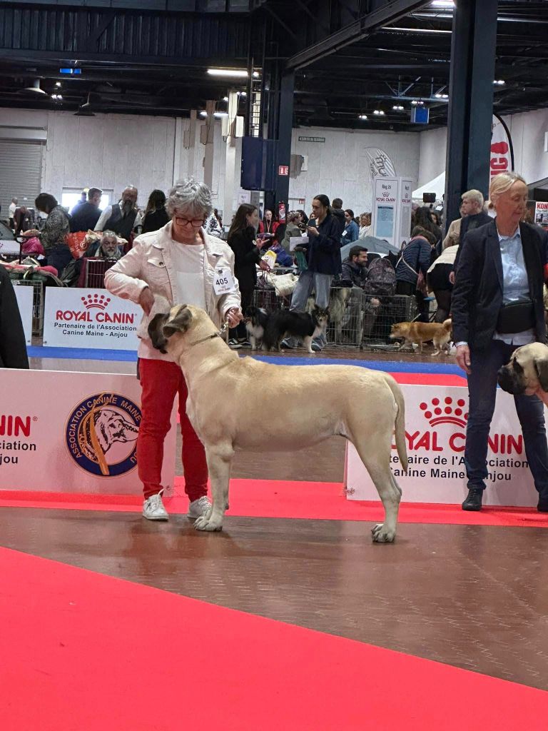 Publication : De L'Arche De Jovie 