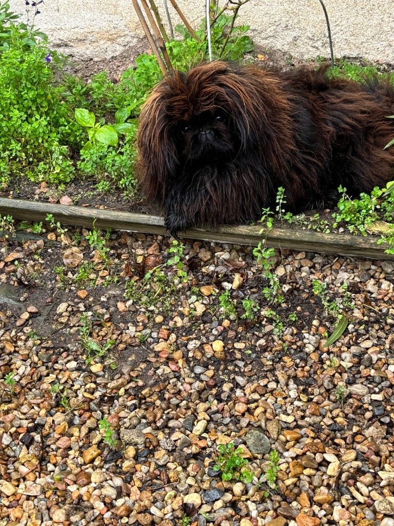 Publication : de la vallée de Luchapt 