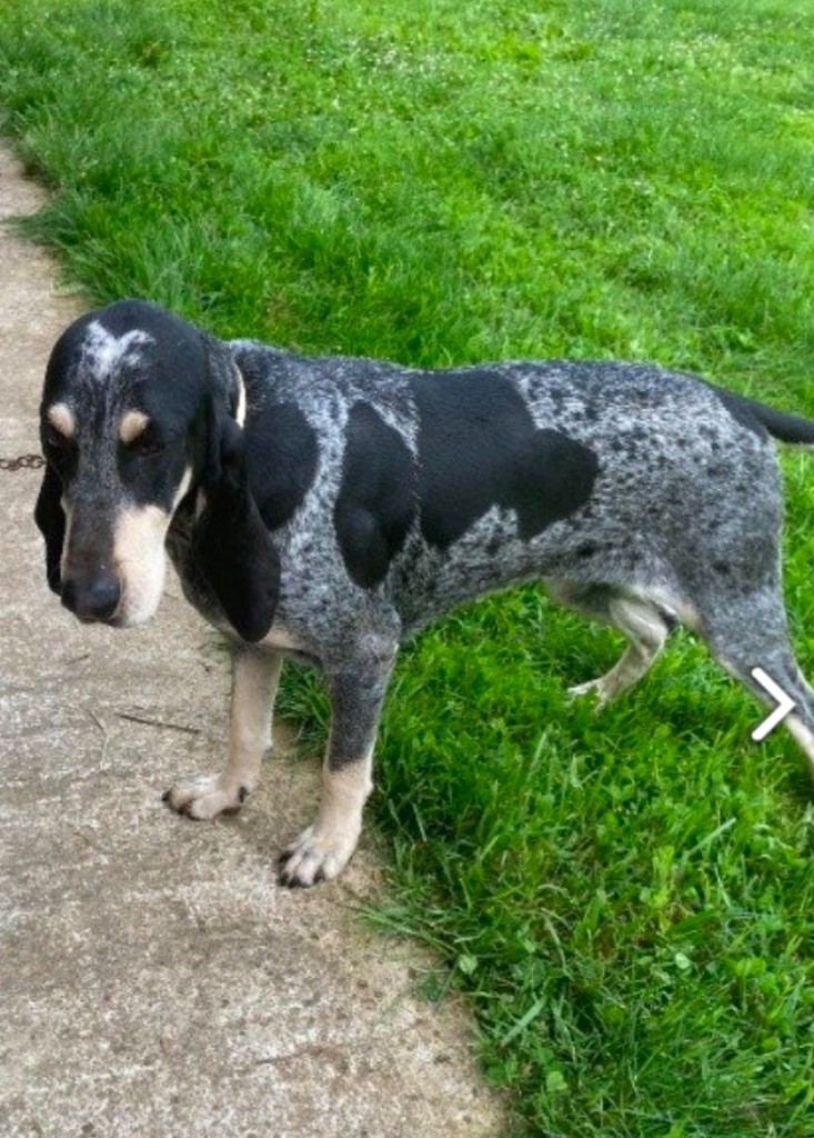 Publication : Des Côteaux De Moissac 