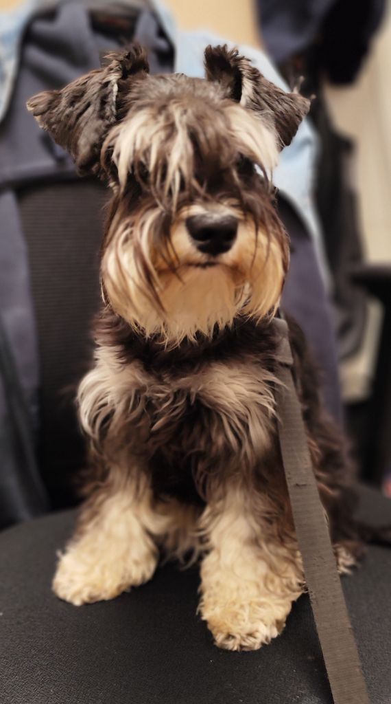 Publication : Du Haut De Mordreuc 