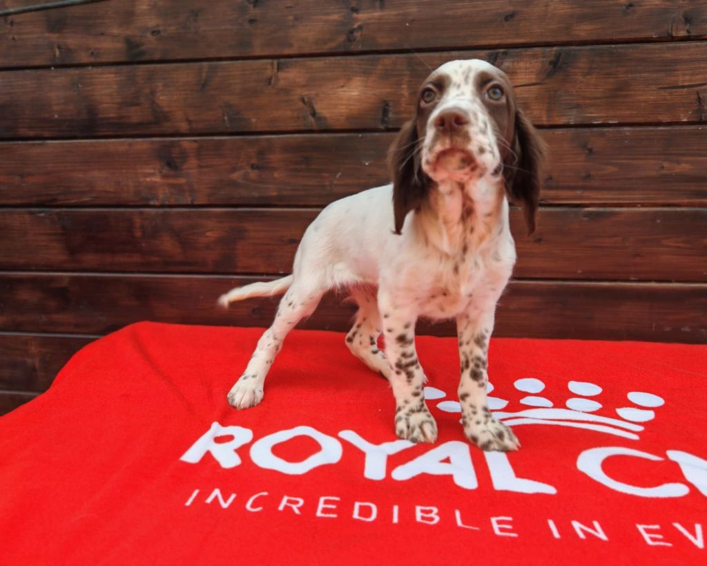 Publication : de l'écho de la Mordorée 