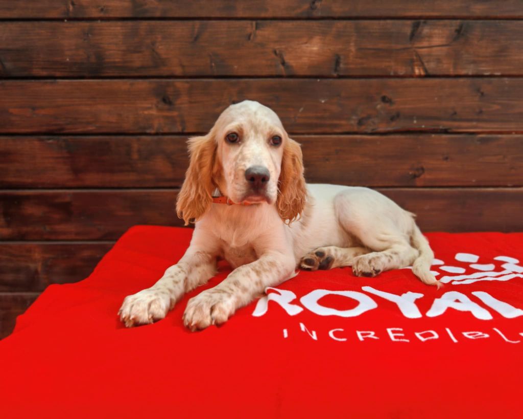 Publication : de l'écho de la Mordorée