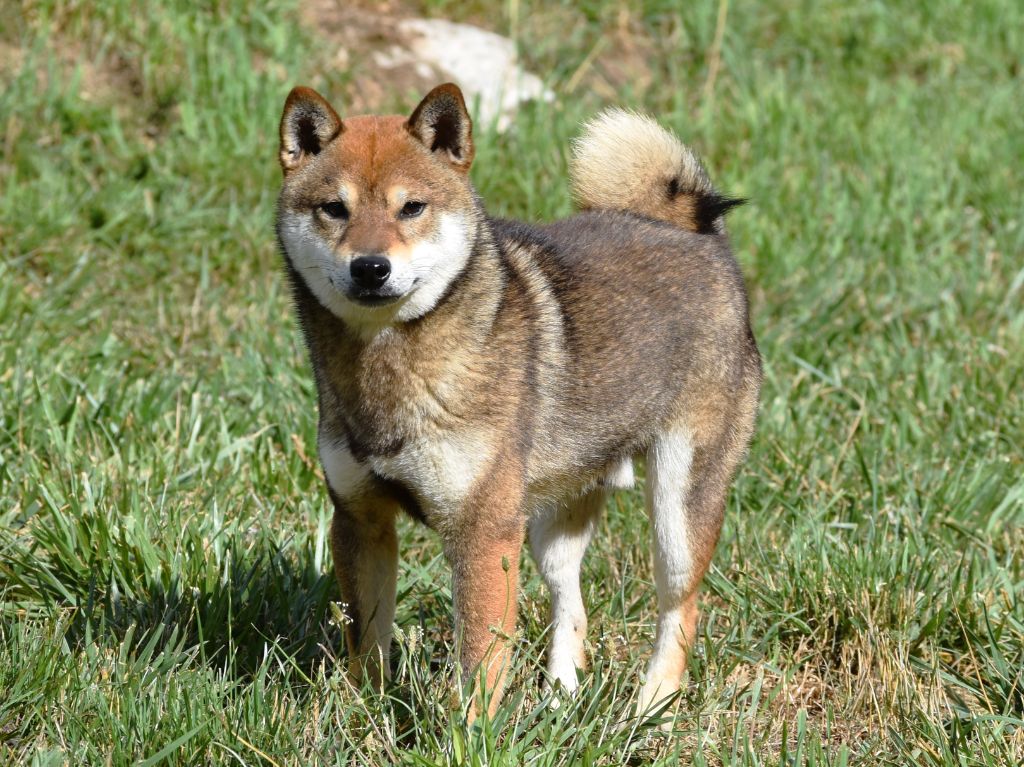 Publication : De La Folle Emprise