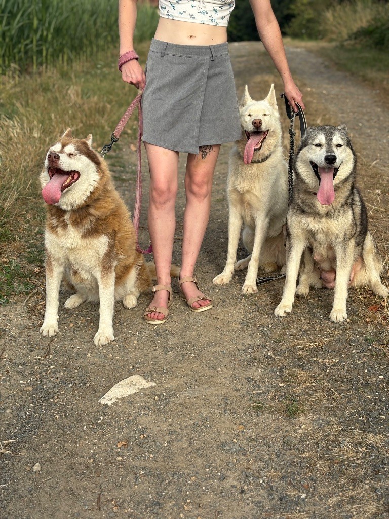 Publication : Du Songe Des Fées 