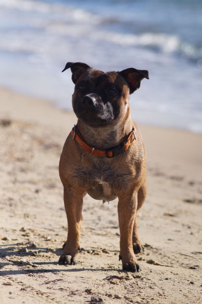 Publication : Hunzzy Family 