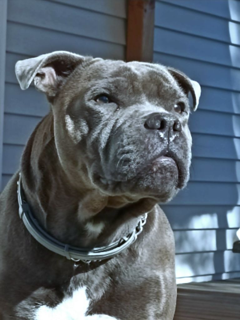 Publication : du domaine des Alunts Auteur : Domaine des alunts