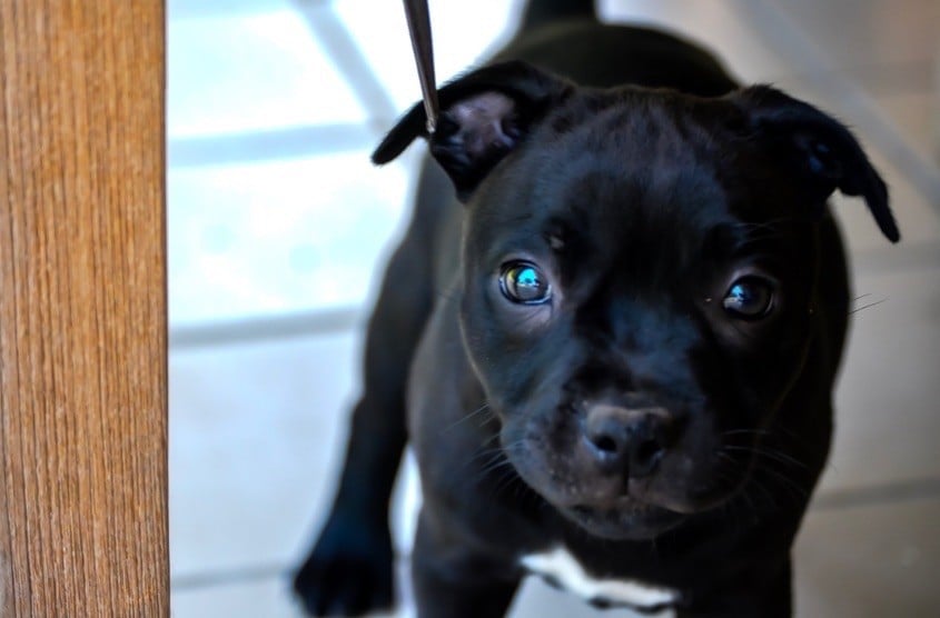 Publication : Royal and Legendary Auteur : Royal And Legendary