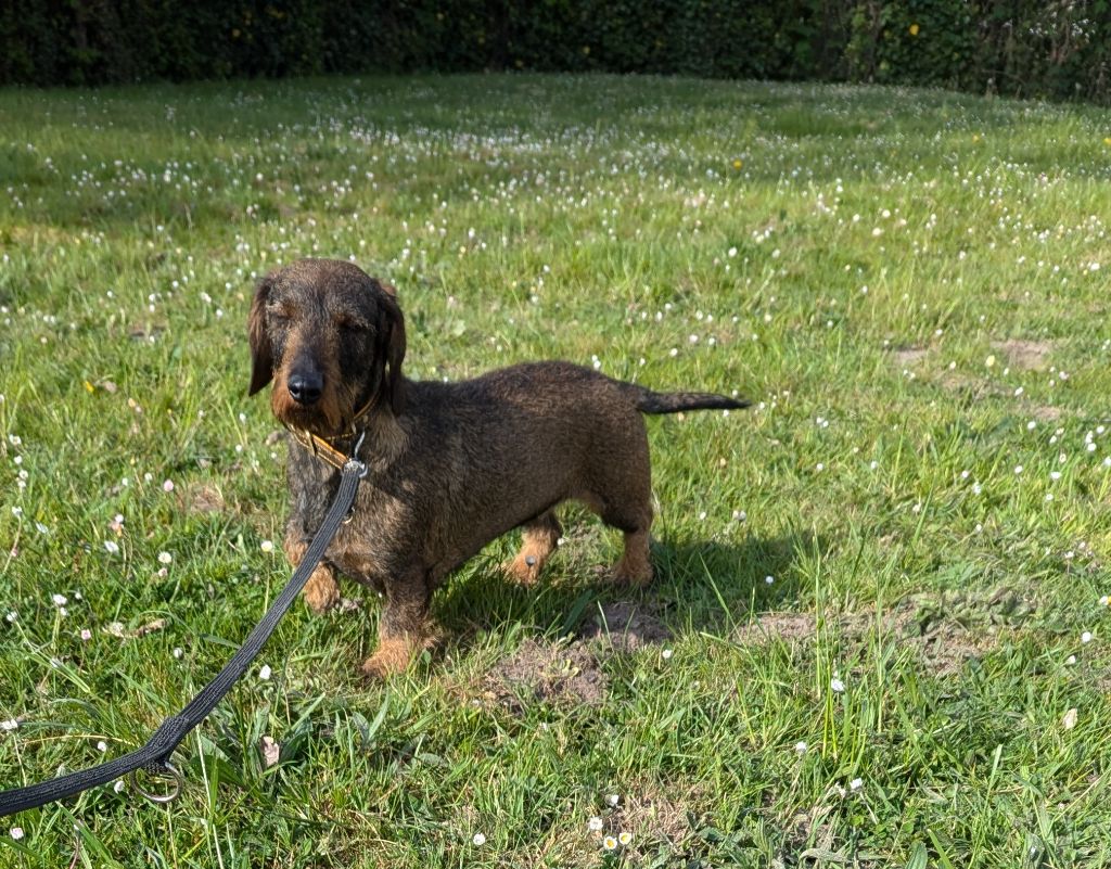 Publication : Du Clos Du Rietz