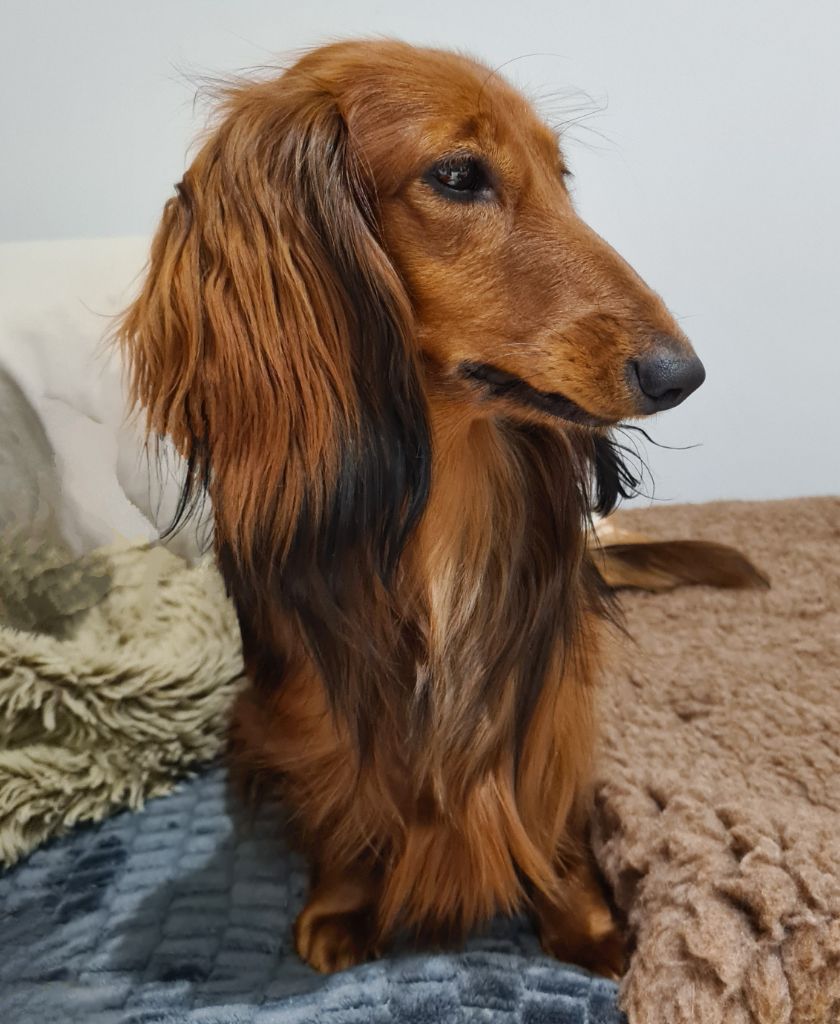 Publication : Des Eveurdins